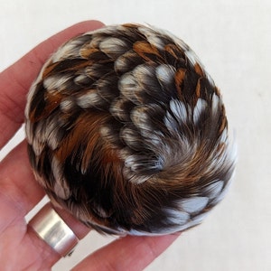 Vintage Feather Medallion Cluster made with Found Feathers, Beadwork, Ritual, or Craft - B