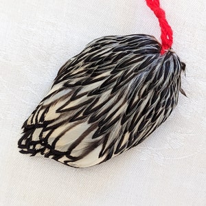 Vintage Feather Medallion Cluster made with Found Feathers, Beadwork, Ritual, or Craft - A