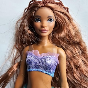 May include: A doll with brown skin, long auburn hair, and a purple and blue top. The doll has a smiling expression and is wearing a teal skirt. The doll's hair is styled with braids on top and flowing waves.