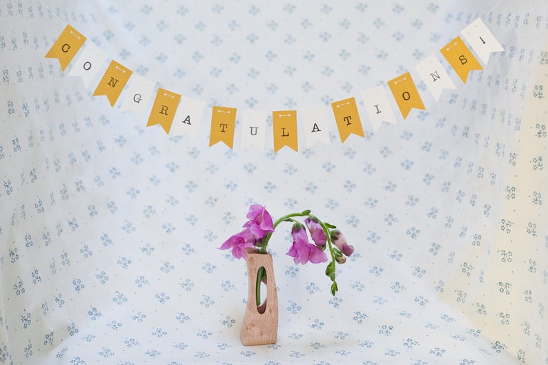 Tiny Personalized PhD Graduation Banner, "Congratulations, Dr." Bunting, Medical School Graduation Party Banner, Doctoral Candidate image 7
