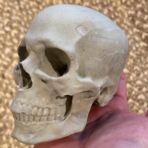 Resin 4” Skull Mold