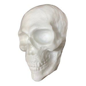 May include: A white styrofoam skull with a detailed anatomical design. The skull is facing to the right and has a slightly open mouth.