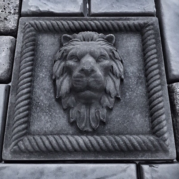 Lions Head ABS Mold