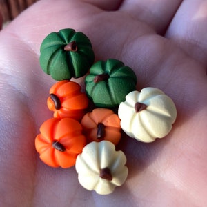Miniature Pumpkin, fairy pumpkins, dollhouse pumpkins, mini pumpkin, fairy garden pumpkins, multicolor pumpkins, fall fairygarden, Halloween