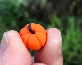Miniatuurpompoen, sprookjespompoenen, poppenhuispompoenen, minipompoen, sprookjestuinpompoenen, pompoenen op popgrootte, herfstsprookjestuin, Halloween