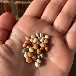 Doll House Miniature Eggs, Tiny Mixed Color Eggs, Fairy Garden Spring Eggs, 1:12 Scale Mini Farmhouse Eggs