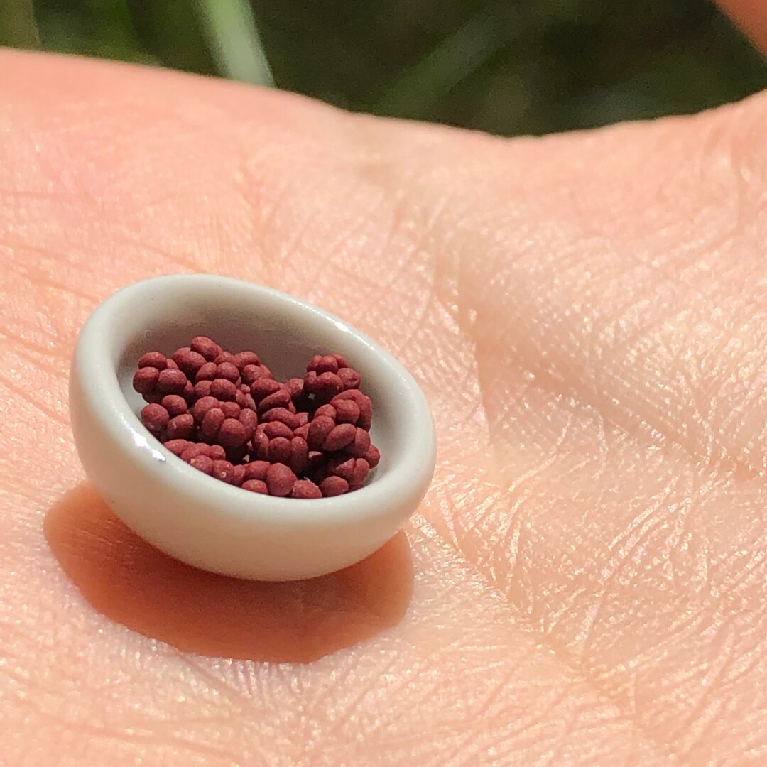 1/12 Scale Miniature Raspberries for Doll House or Fairy Etsy