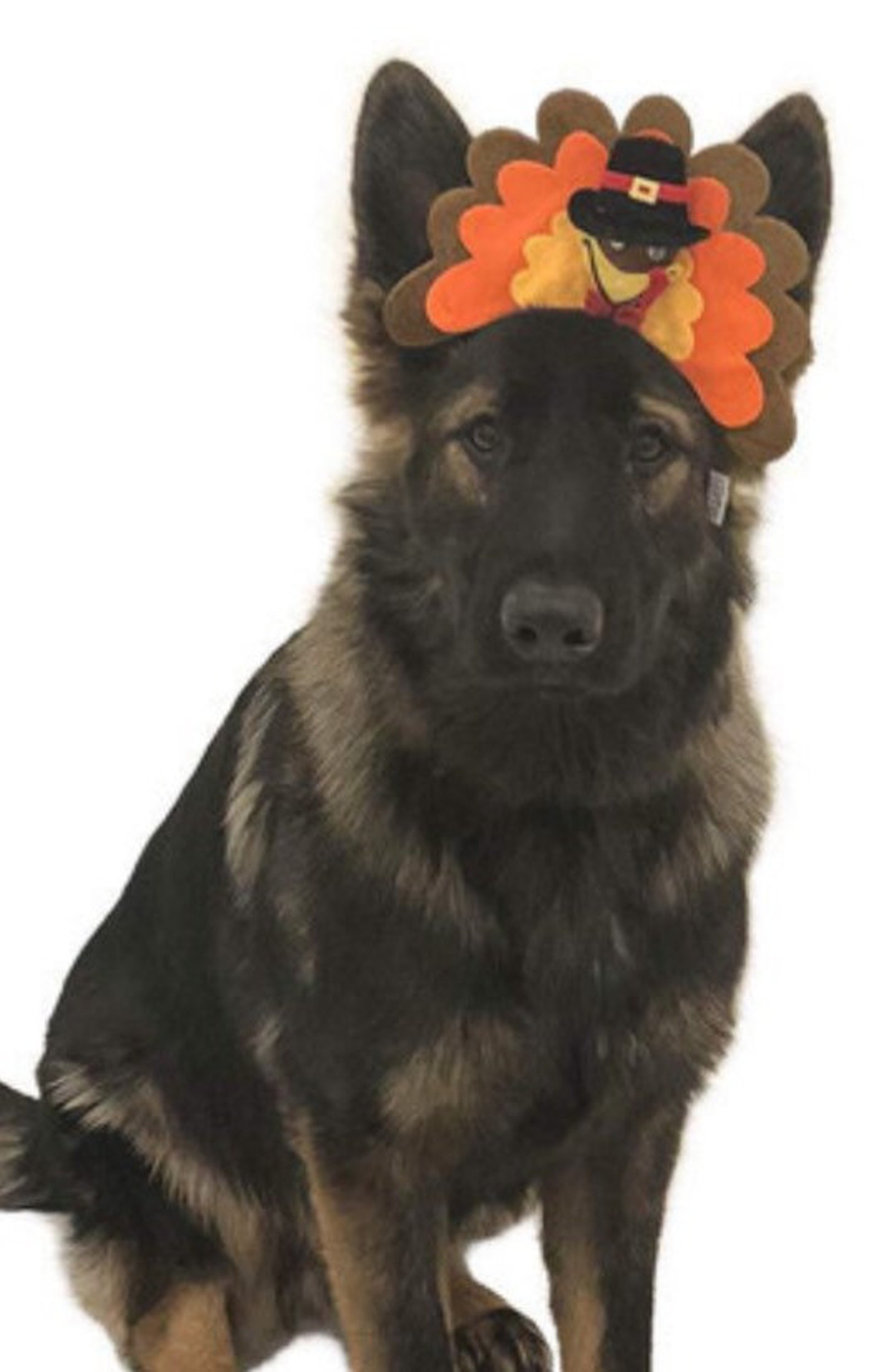 Turkey hat / Thanksgiving hat / dog Thanksgiving headband / Etsy