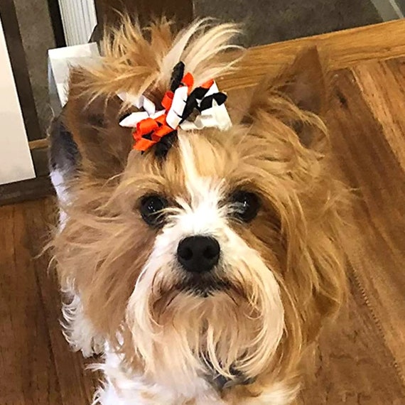 Petite Dog Bowssmall Dog Hair Bowspigtail Bows for Dogsbows 
