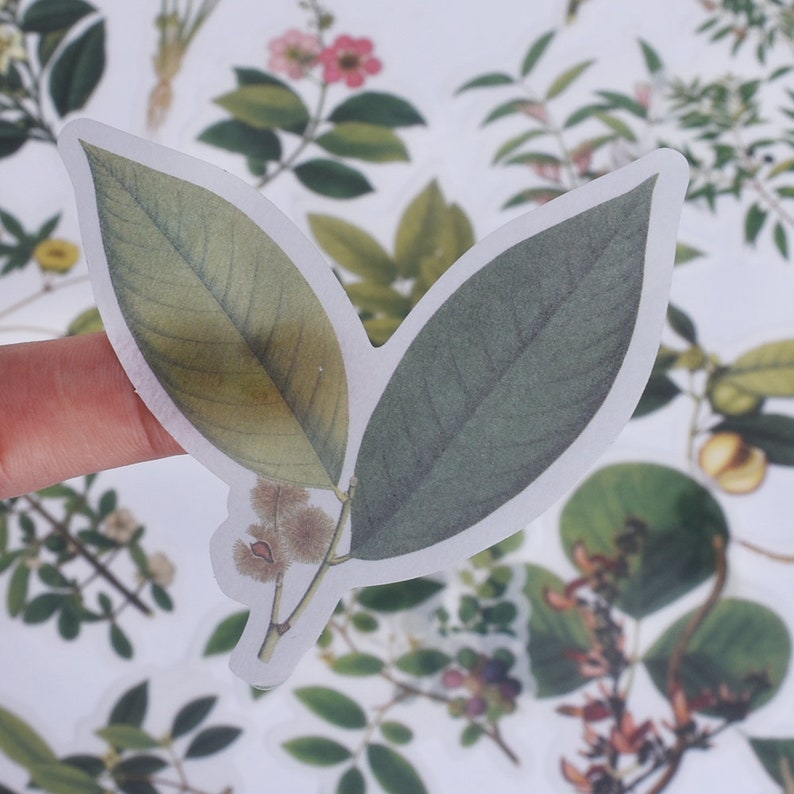 60 Pcs Natural collection Sticker,Planner sticker,Leaf sticker,Scrapbooking Stickers,Flower sticker,sticker pack