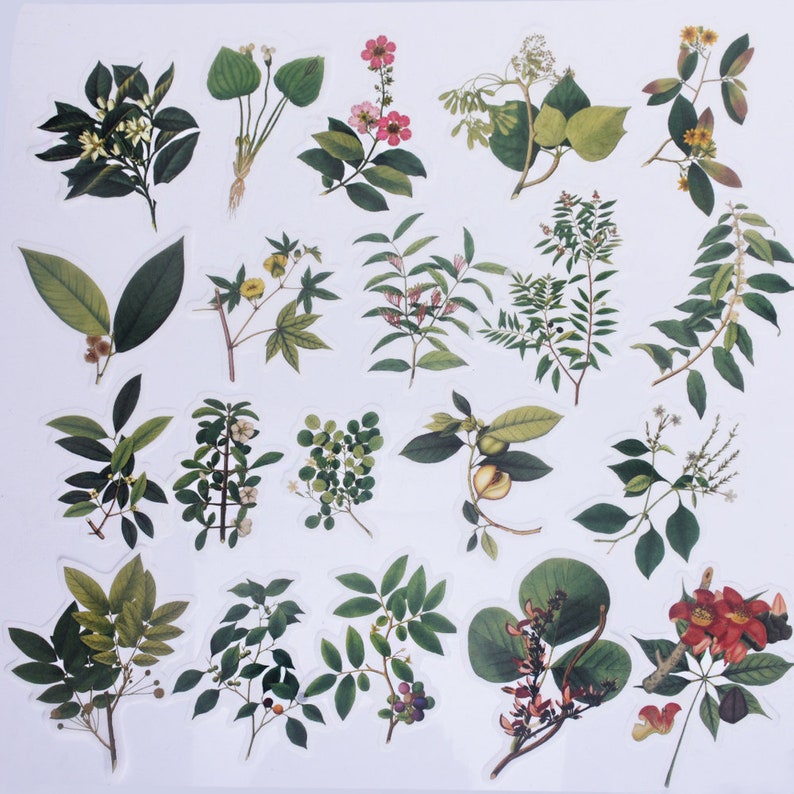 60 Pcs Natural collection Sticker,Planner sticker,Leaf sticker,Scrapbooking Stickers,Flower sticker,sticker pack