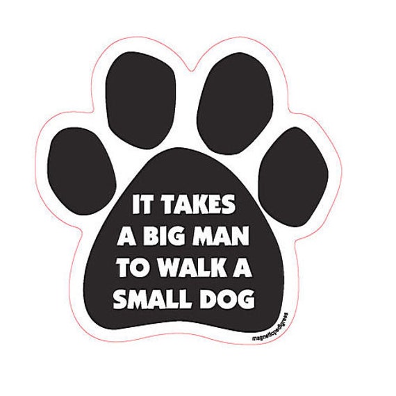 How Far Should You Walk A Small Dog