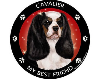 Cavalier King Charles Spaniel Tri My Best Friend Dog Magnet