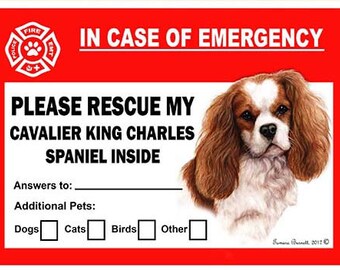 Cavalier King Charles Spaniel Pet Savers Dog Emergency Rescue Window Cling Sticker