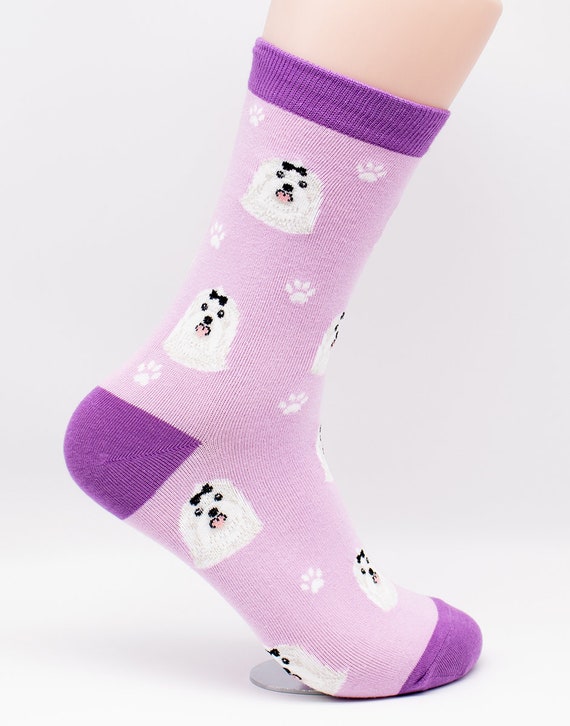 Maltese top dog socks