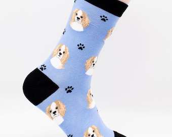 Assorted Cavalier King Charles Dog Breed Lightweight Stretch Cotton Adult Socks