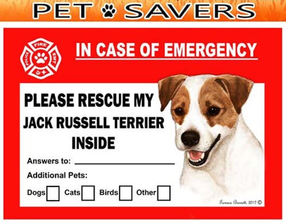 Animal savers cheap rescue near me