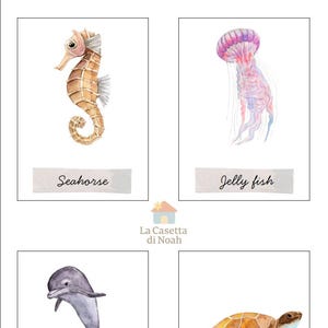 Sea Animals - Flash Cards ENG