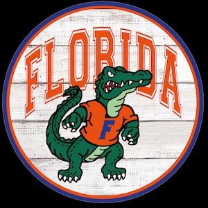 Wreath Sign, Florida Gators Blue and Orange Metal Sign, Football Season, Embellishment, Ohdeerrusticdecor