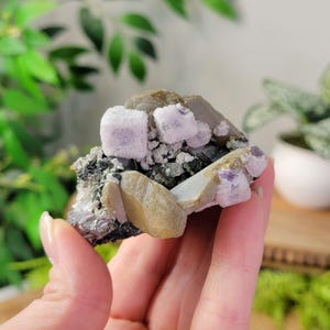 Fluorite, Siderite, Ferberite, Chalcopyrite, Arsenopyrite, and Quartz Mixed Mineral Specimen - Collector Crystal - from Portugal