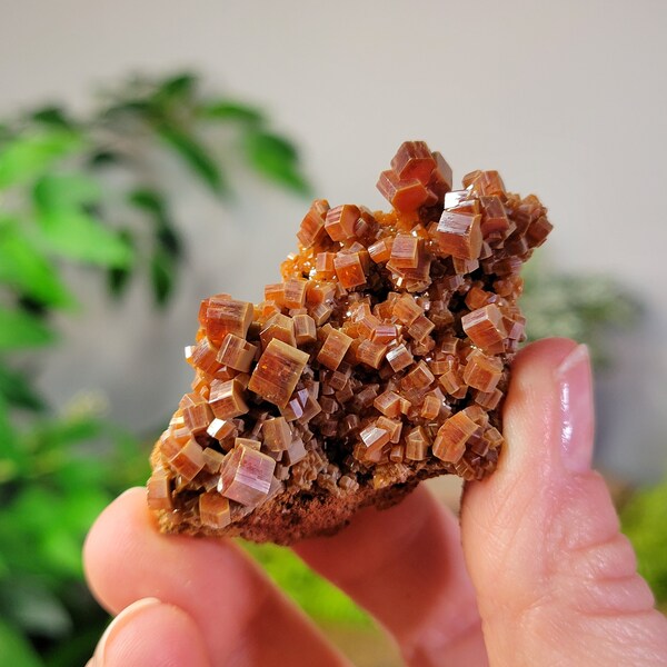 Vanadinite Cluster from Morocco