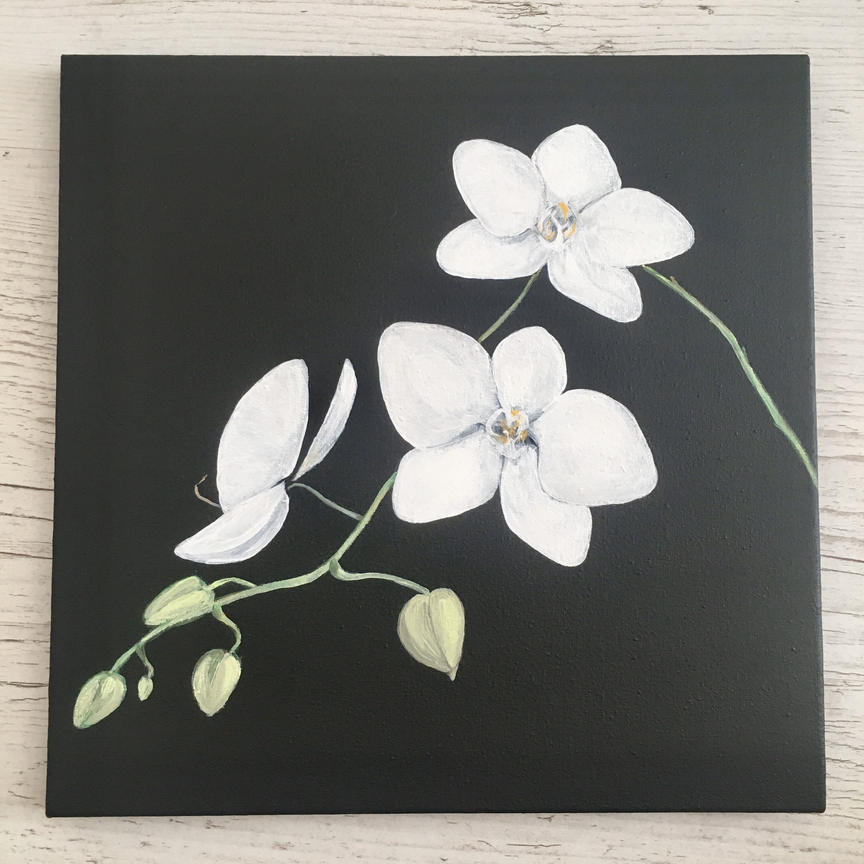 White Orchid Painting Orchids Wall Art Black Canvas Original Etsy