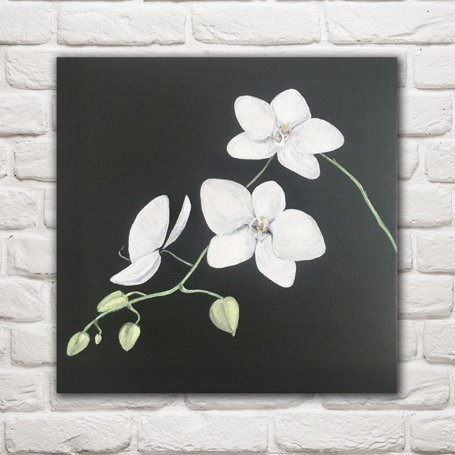 White Orchid Painting Orchids Wall Art Black Canvas Original Etsy