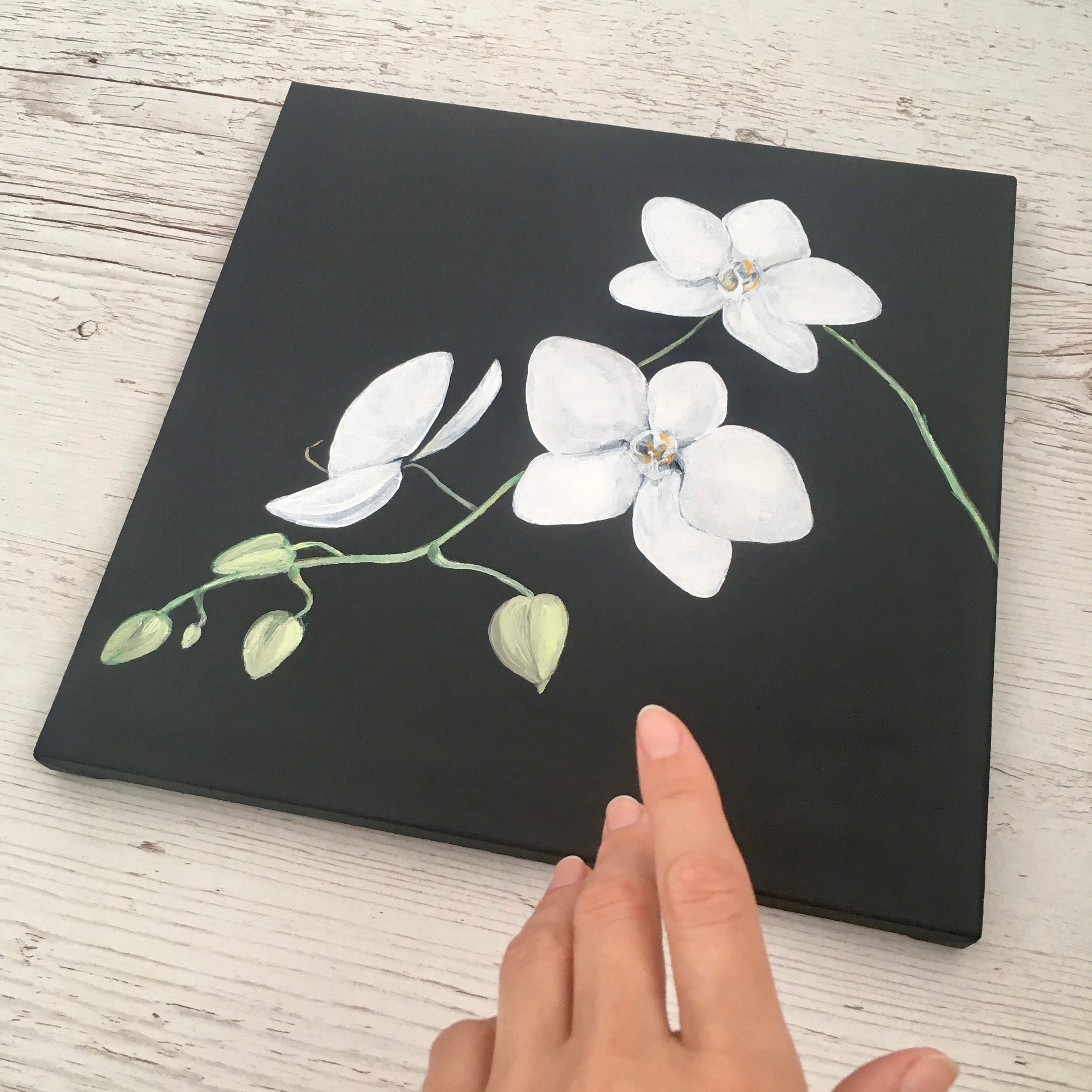 White Orchid Painting Orchids Wall Art Black Canvas Original Etsy