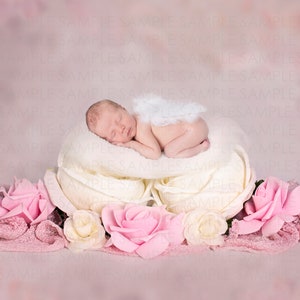 Digital backdrop fairy tail background newborn baby girl flower pink
