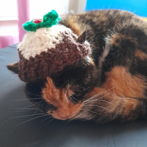 Cat or Small Dog Christmas Pudding Hat, Christmas, Cat or Dog Accessory
