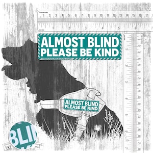 Op de afbeelding: Afbeelding met een zwart silhouet van een hond met de tekst "ALMOST BLIND PLEASE BE KIND" in een turquoise rechthoek. De afbeelding bevat een liniaal met centimeters en inches, en een kleine voorbeeldprint.