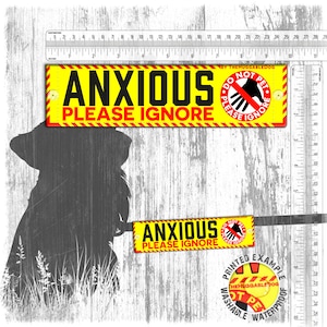 ANXIOUS, please ignore, do not pet. Warning leash sleeves for nervous dogs.