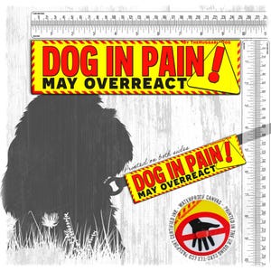 Puede incluir: Un letrero rectangular amarillo y rojo con el texto "DOG IN PAIN! MAY OVERREACT" se muestra. También se muestra una versión más pequeña del letrero. La imagen incluye una silueta de un perro y una etiqueta circular de lona impermeable.