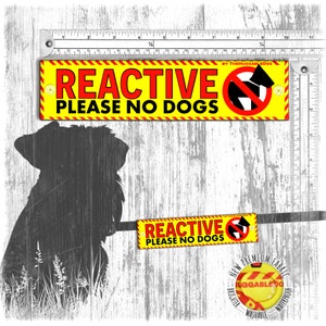 REATTIVI, per favore niente cani. Cartello giallo per cani reattivi.