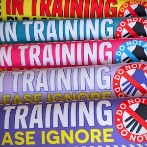 NEW colours! In TRAINING, please IGNORE, do not pet. Leash sleeves for dog training.