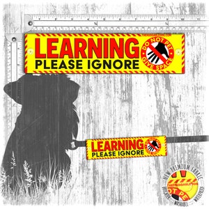LEARNING, please IGNORE, do not pet, give space. Warning leash sleeves for dog training.