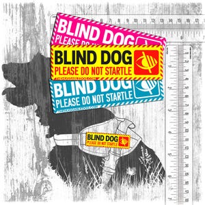 Peut inclure: Trois autocollants rectangulaires avec le texte "BLIND DOG PLEASE DO NOT STARTLE" en rose, jaune et bleu. Les autocollants ont un graphisme d'œil et sont placés sur une silhouette de chien.