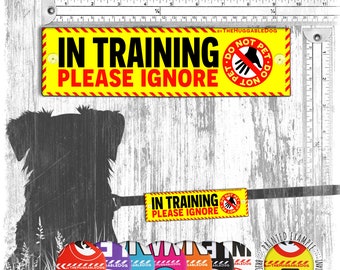 In TRAINING, please IGNORE, do not pet. Warning leash sleeves for dog training.