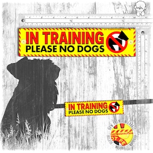 In TRAINING, please no dogs. Yellow leash sleeves for dog training.