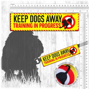 Keep dogs AWAY, TRAINING in progress.