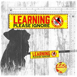 LEARNING, please IGNORE, do not pet. Warning leash sleeves for dog training.