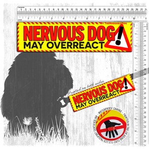 NOVIDADE! CÃO NERVOSO, pode reagir exageradamente! Guias para cães nervosos.