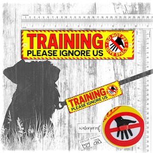 Dog Leash Sleeve: &quot;TRAINING, please ignore us&quot;, do not pet, give space sign.