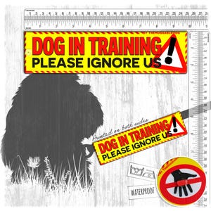 NEW! Dog in TRAINING, please ignore us! Warning leash sleeve for dogs.