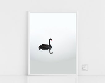 Scandinavian Swan Print, Affiche Scandinave, Swan Photography, Swan Poster, Minimalist Wall Decor, Modern Wall Art, Trendy Poster, Instant