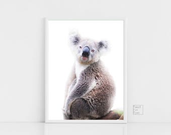 Koala affiche, affiche animal, Koala Bear Print, Koala Wall Art, Koala Wall Decor, photographie animalière, cadeau d’amoureux des animaux, Koala Bear art