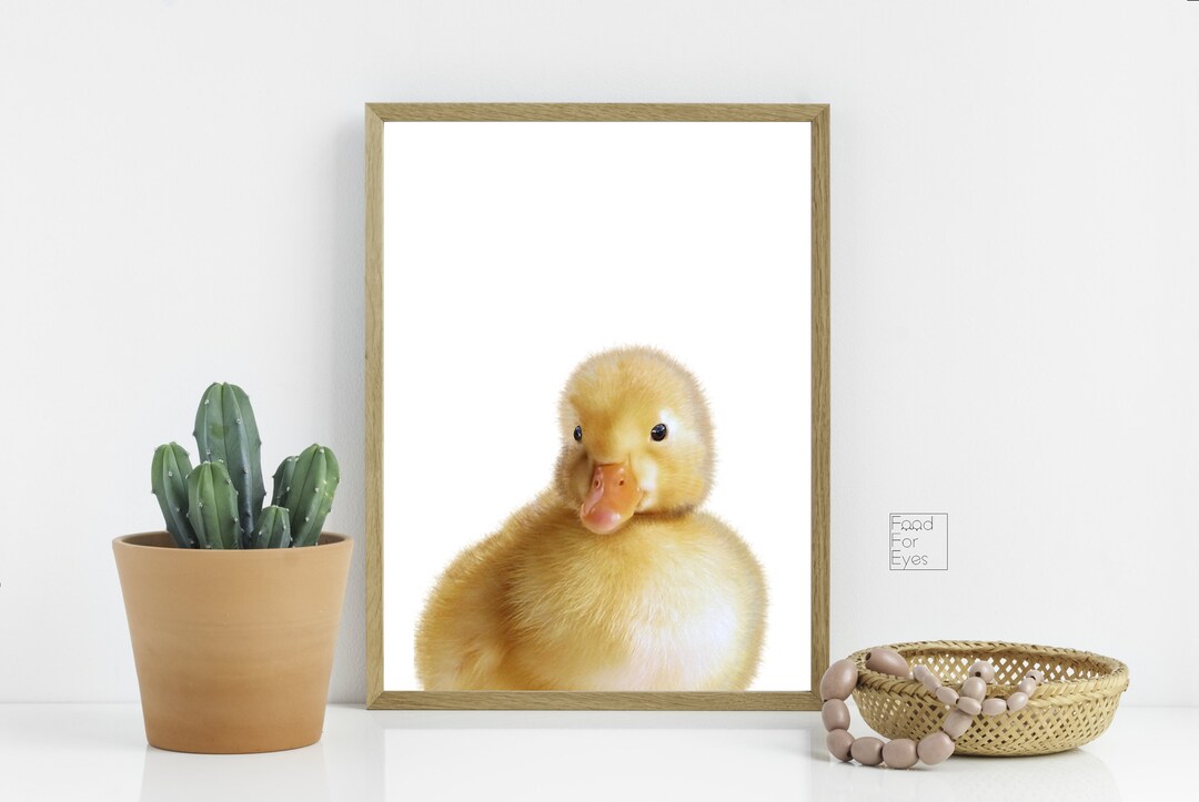 Duckling Peekaboo Print Duck Print Nursery Print Cute Etsy