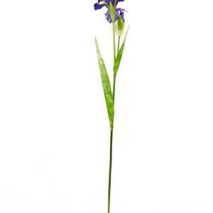 Artificial Dutch Blue Iris Stem, Wedding Flower, Real look faux Dark Blue Iris flower, DIY floral craft supply, Spring flower, Easter flower