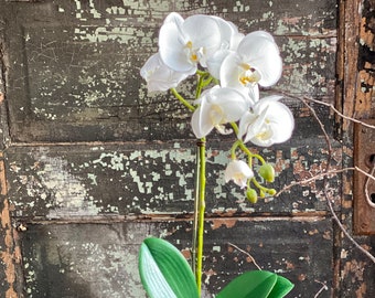 The Serena White Orchid Arrangement, Centerpiece for table, Natural style arrangement, coffee table centerpiece, office decor