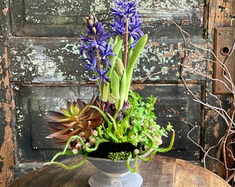 The Sorrel Succulent Centerpiece For Dining Table, all season arrangement, Hyacinth & mushroom centerpiece, real touch floral